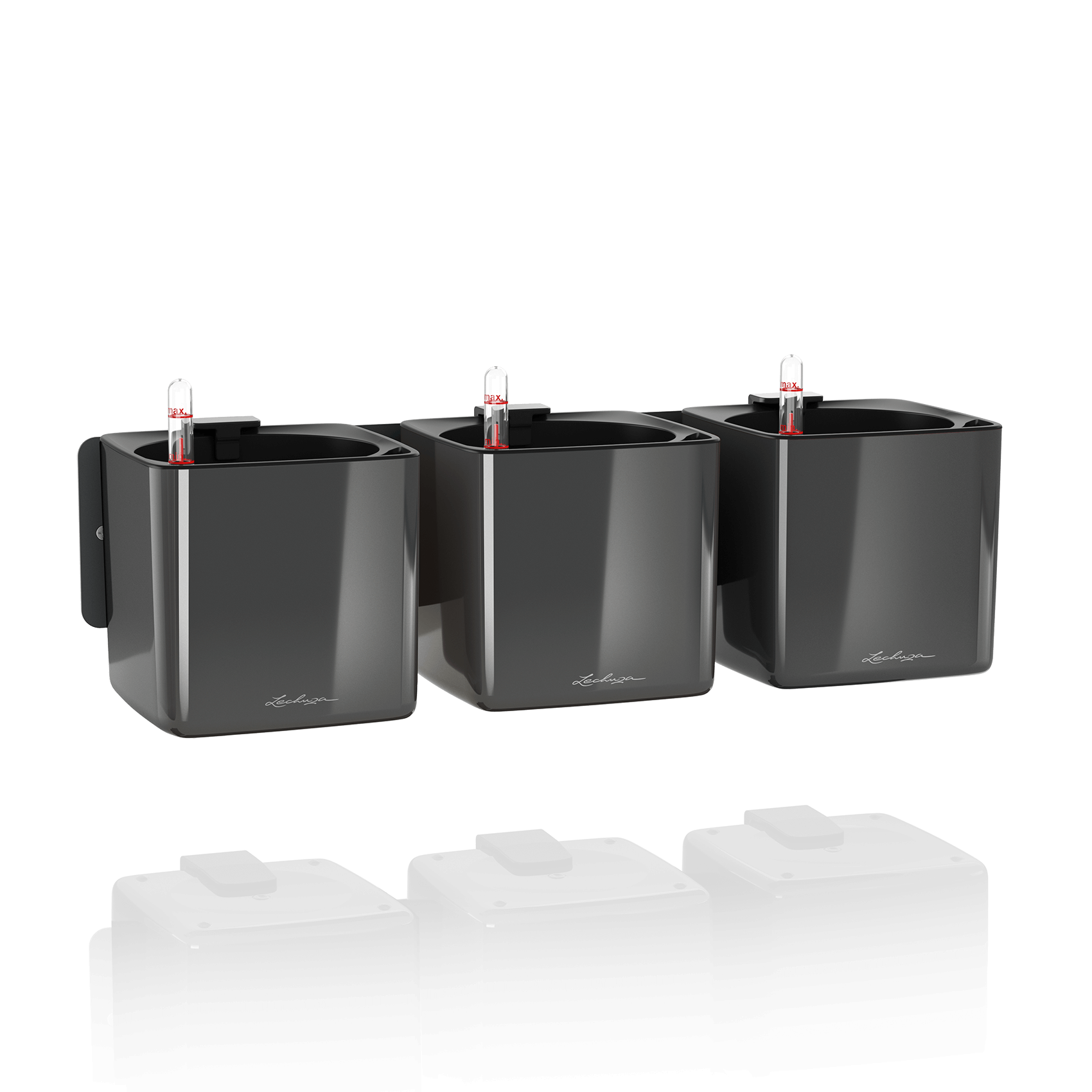 Green Wall Home Kit Glossy charcoal high-gloss